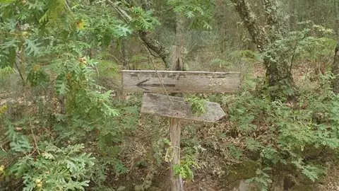 somoscomarca_sanxoanderio_rutadafraga_2021 (1)