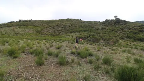 somoscomarca_montescomunales_casaio_lardeira_2022-02-19