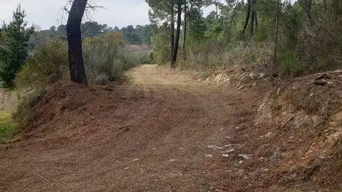 obradoirodetrabajo_laboru_desbroce_larouco_25_02_2022