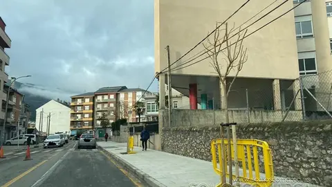 somoscomarca_avenidadelbierzo_arboles_2022-03-11