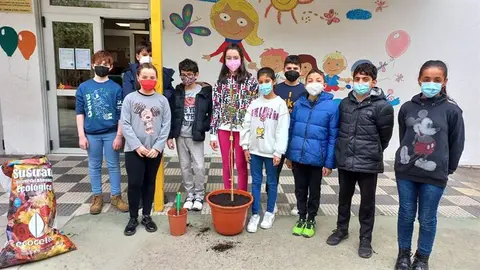 Día del Árbol en el cole de Viloira (10)