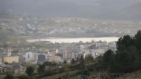 somos comarca_sanjulian_animales_manolo_cabras_vacas_terneros_ovejas_gatos_gallos_perros_2022 (3)