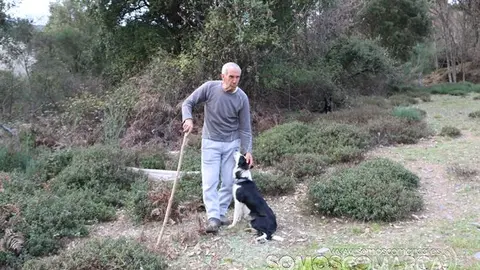 somos comarca_sanjulian_animales_manolo_cabras_vacas_terneros_ovejas_gatos_gallos_perros_2022 (28)