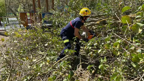 somoscomarca_arbol_Caida_malecon_paseo_obarco_ges_2022-04-05 (2)