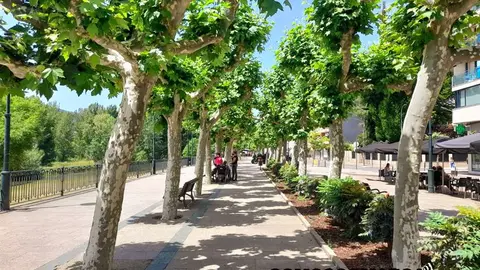 somoscomarca_malecon_obarco_paseo