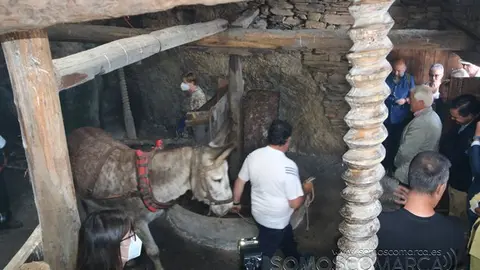 Mostra do Aceite de Quiroga 2022 (62)