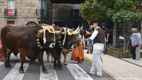 Feira de 1812 en Petín (52)