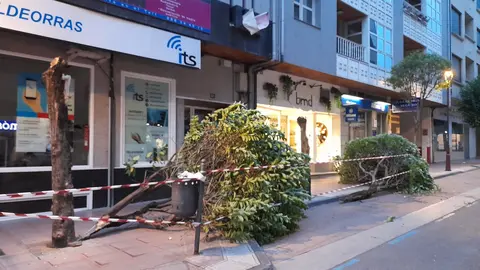 somoscomarca_viento_desperfectos_obarco_fachada_arboles_2022-06-15 (5)