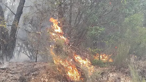 somoscomarca_incendio_arcos_fuego_2022-06-16 (2)