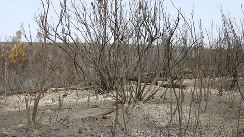 somoscomarca_seadur_incendio_2022 (6)