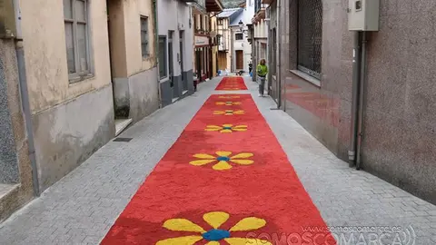 Alfombras de Corpus en  Valdeorras 2022 (40)