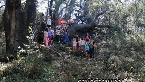 campamentoveran_carballeda (1)