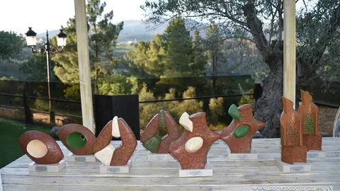 galaentregadepremios_cataoficial_feiradoviño (4)