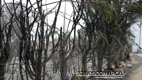 incendio_alixo_obarco (31)