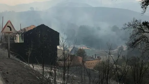 E85E990D-32D8-40EC-87FC-DF96FB215992