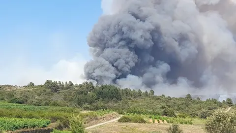 somoscomarca_fuego_incendio_rubia_carballeda_viladequinta_2022-07-19 (4)