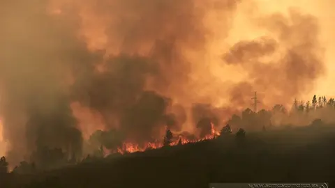 somoscomarca_incendio_sanjusto_carballeda (4)