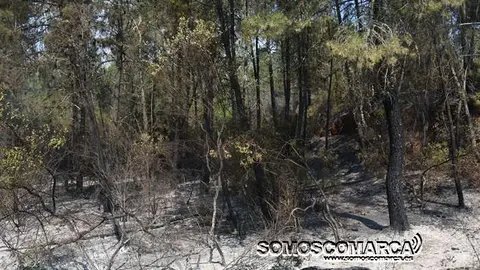 somoscomarca_incendio_quereño_carballeda (6)