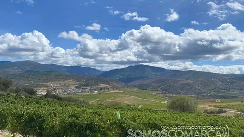 somoscomarca_larouco_panoramica_viñas_viñedos_aportela_2022