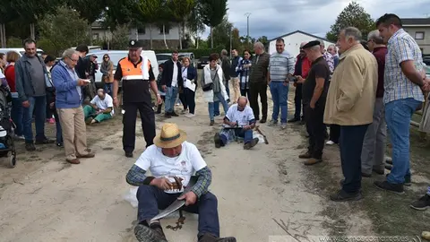 Crianza Trevinca, exposición ganadera y agrícola (47)