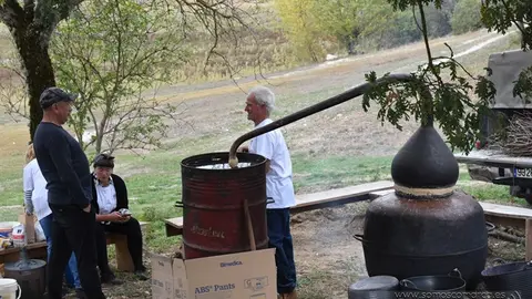 Crianza Trevinca, exposición ganadera y agrícola (34)