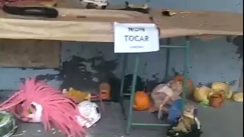 somoscomarca_calabazas_viana_2022-10-29