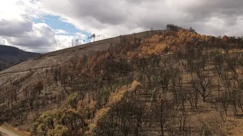 somoscomarca_entoma_incendio_drone_quemado_2022 (1)