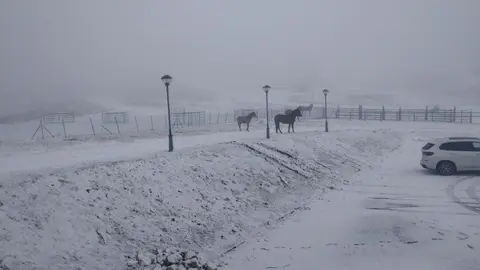 somoscomarca_nieve_Trevinca_Fontadacova_2022-12-05