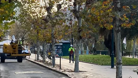 somoscomarca_poda_arboles_malecon_2022-12-16