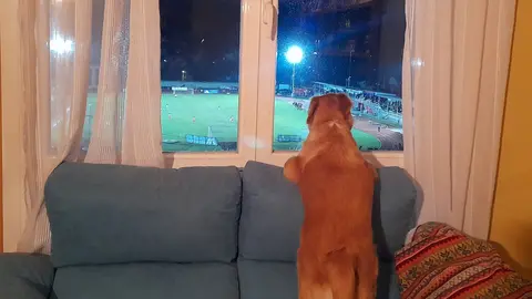 somoscomarca_Campo__futbol_panch_2022-12-232