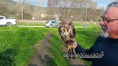 portada_pepefernandez_rescate_aguila