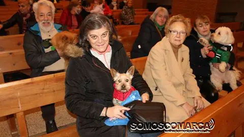 somoscomarca_obarco_bendicionmascotas_santarita (24)
