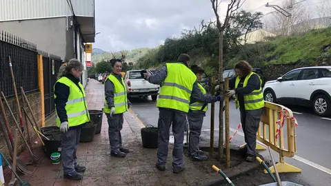 somoscomarca_plantacionArboles_barco_2023-0119