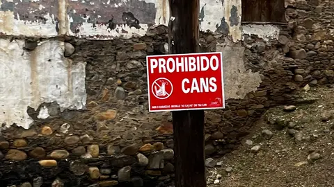 portada_somoscomarca_perros_portada_2023-03-13