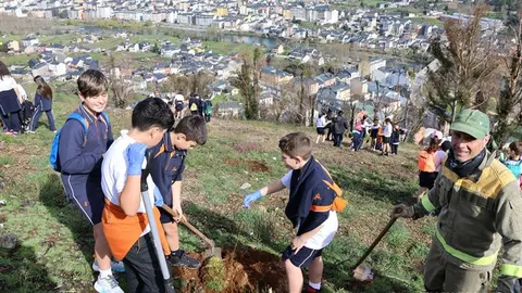 portada_somoscomarca_viloira_ocotado_colegiodivinapastora_plantacionarboles_2023_03_19-3669 (5)