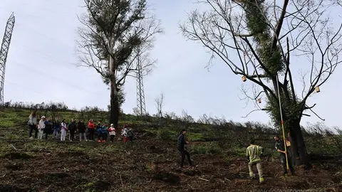 somoscomarca_viloira_ocotado_DIAARBOL_OTEROPEDRAYO_2023-3844