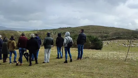 somoscomarca_viana_encontro_ovellagalega_ovejagallega_2023439 (1)