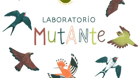 Imaxe con logos (1)