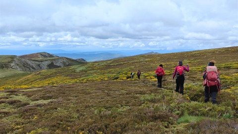 somoscomarca_peñatrevincaandaina_terrasdetrevinca_eolicosno_202320231203 (1)