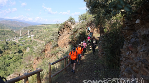 somoscomarca_20231234