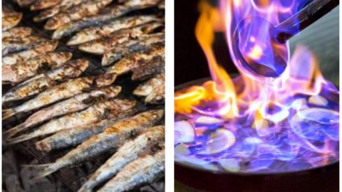 png_20230620_125119_0000 (1)