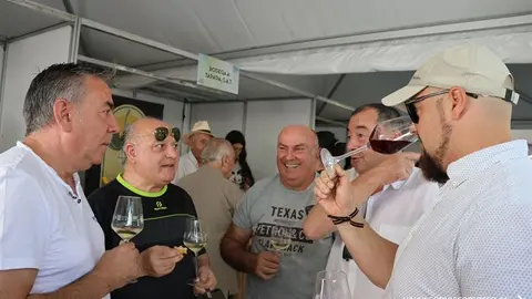 somoscomarca_viloira_feiradoviño_paseo_domingo_202320231959 (10)