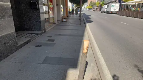 portada-somoscomarca-tala-arboles-avenidacondefenosa-2023-07-18