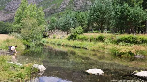 somoscomarca_vilariñodeconso_arearecreativacenza_pradoalbar_asportas_columpio_rutaplata_20232084 (30)