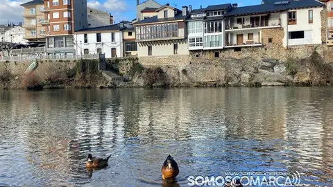 somoscomarca_obarco_cascovello_patos_panoramica_20232626 (1)