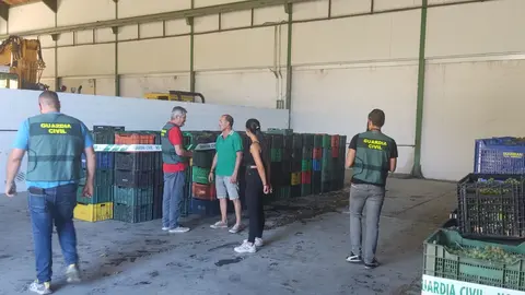 86c88b4d-fd10-4081-89c5-421fcfd02eb0