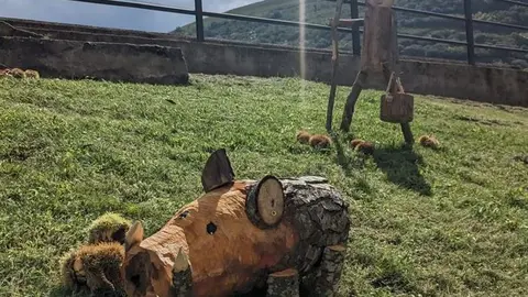 somoscomarca_sobradelo_jardintematico_otoño_2023 (3)