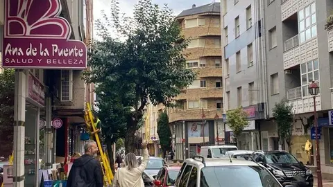 portada_somoscomarca_obarco_empresa_comercio_cca_anadelapuente_avenidaestacion_arreglandocables_230922