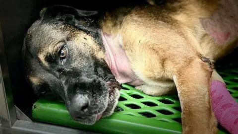 385038232_615752854101672_5131581788700157108_n