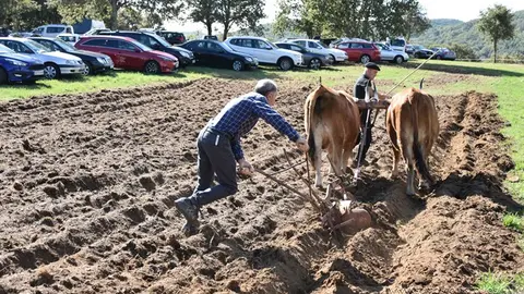 somoscomarca_aveiga_inauguracion_feriaganadera_2023 (39)